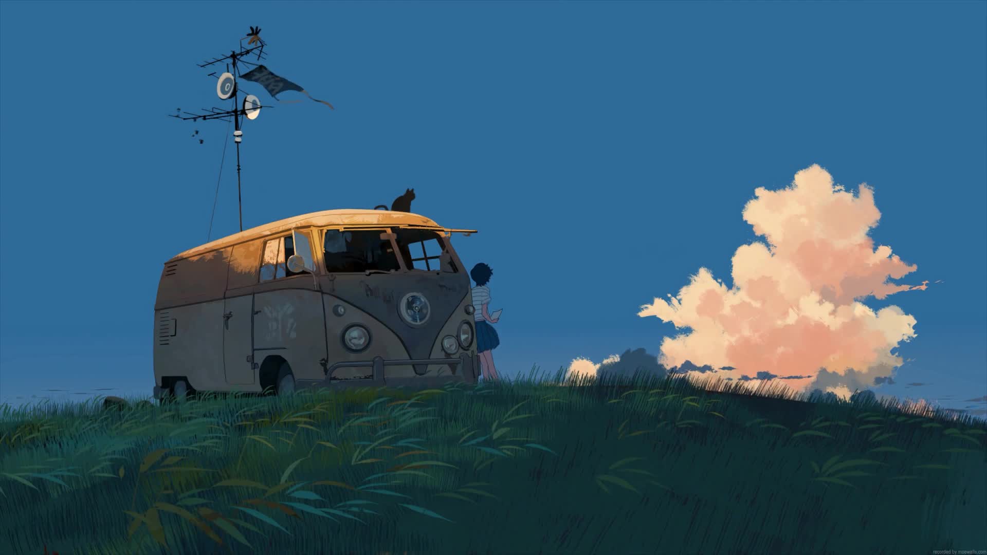 Van Life Lofi